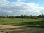 Christ Church Meadow